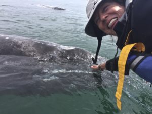 Whale Tour | Aurora Adventures US - Dawn Feuerberg